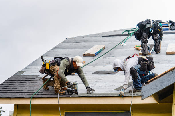 Professional Flat Roof Repair technician working in Carbon Cliff, IL